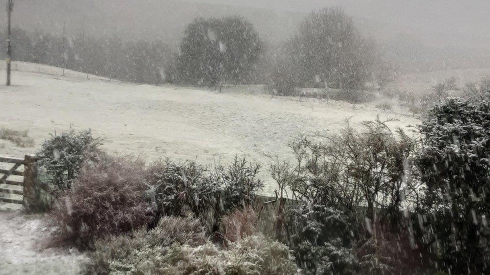 Snow at Llanfihangel-nant-Melan, Powys