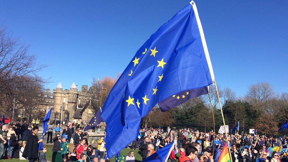 Big European Union flag at the Brexit march