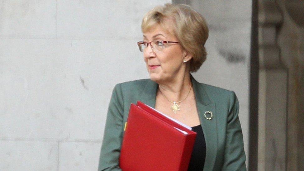 Andrea Leadsom