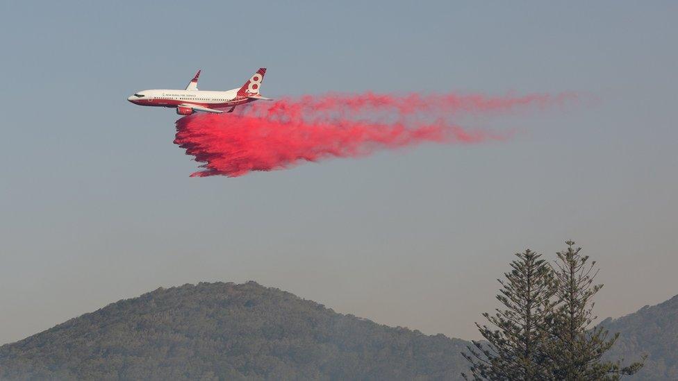 A water bomber aircraft dropping fire retardant on a wildfire in Forster on 7 November