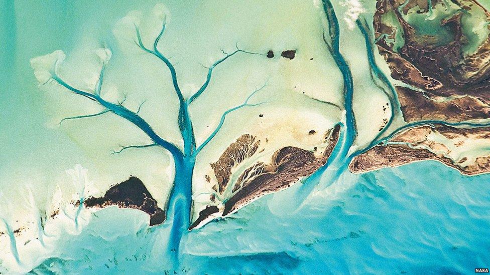 Tidal Flats and Channels in Bahamas