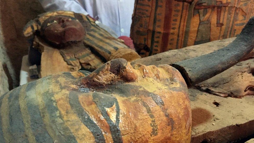 Egyptian mummies