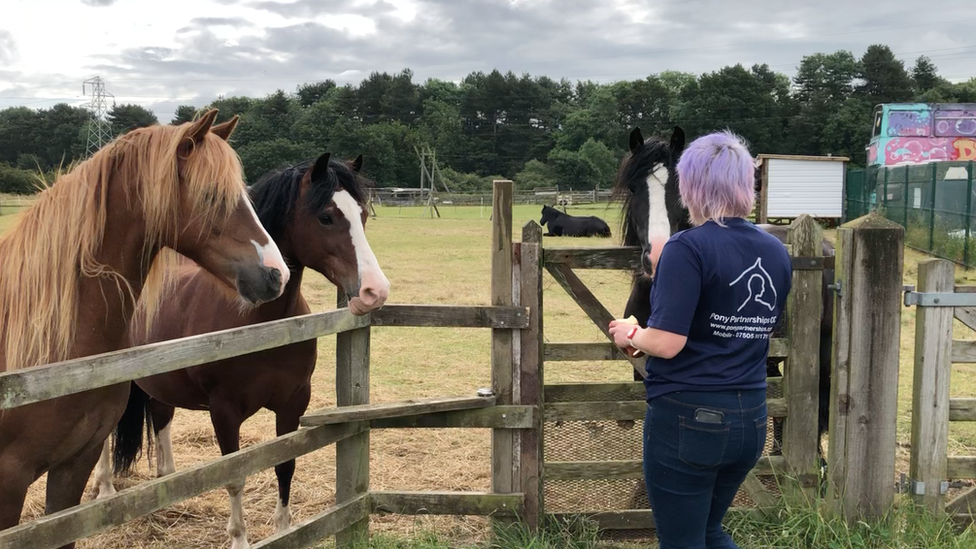 Danielle and horses