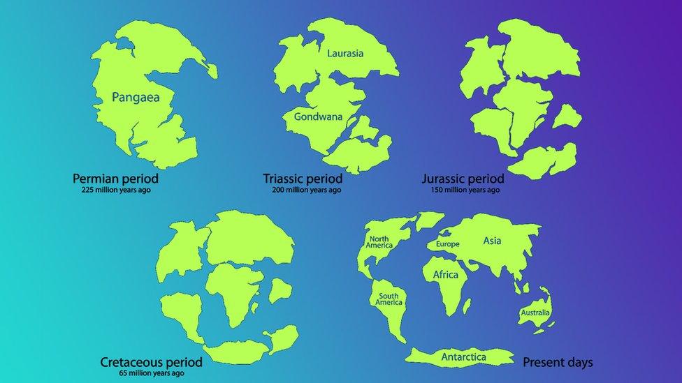 Illustration of continental drift over time