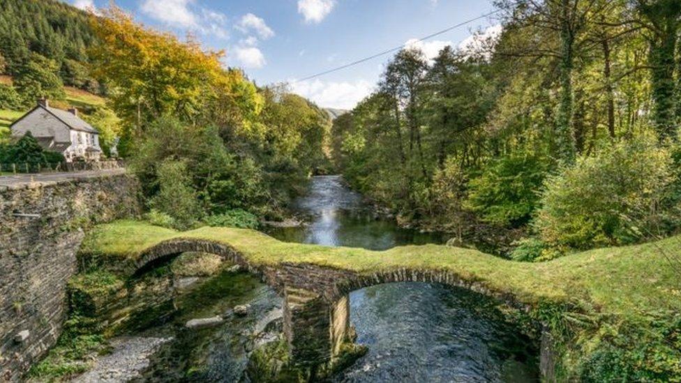 Dinas Mawddwy