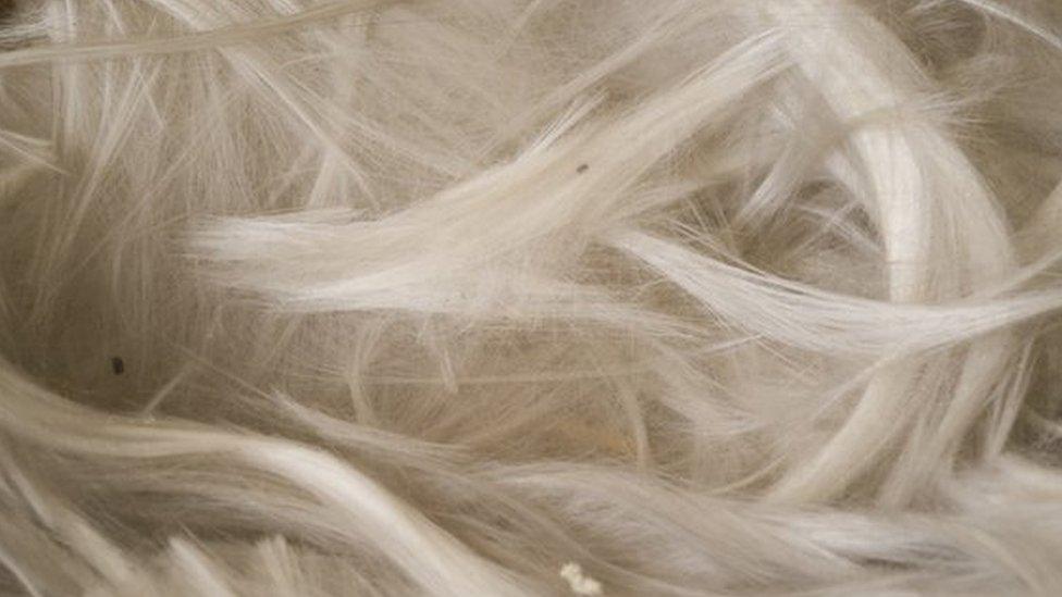 Natural asbestos fibres