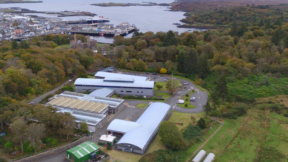 UHI Innse Gall, Steòrnabhagh