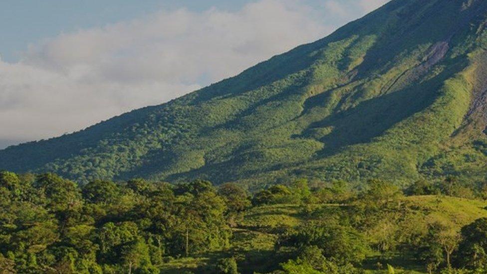 Costa Rica forest