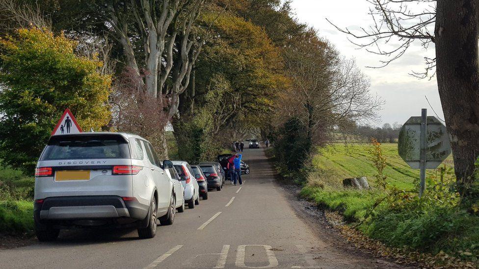 Traffic at the dark hedges