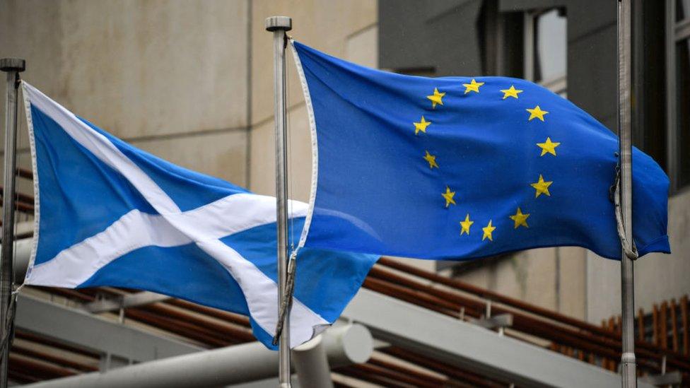 Scottish and EU flags