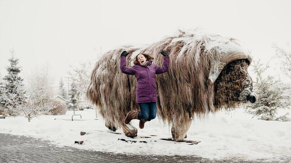 Yellowknife resident and muskox sculpture "Elon Muskox"