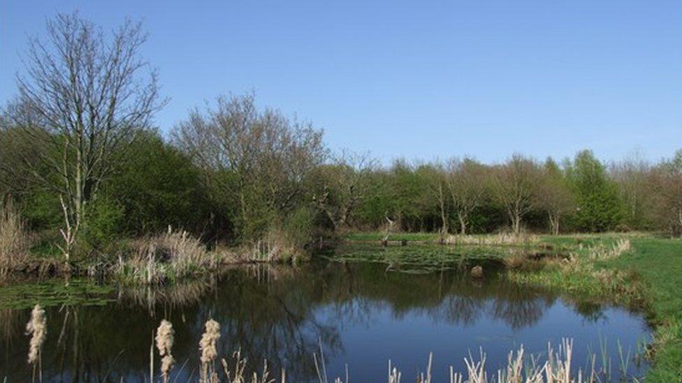 Clincton Wood pond