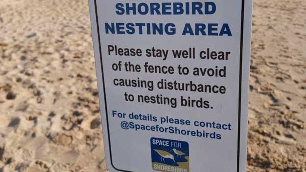 Shorebird nesting area sign