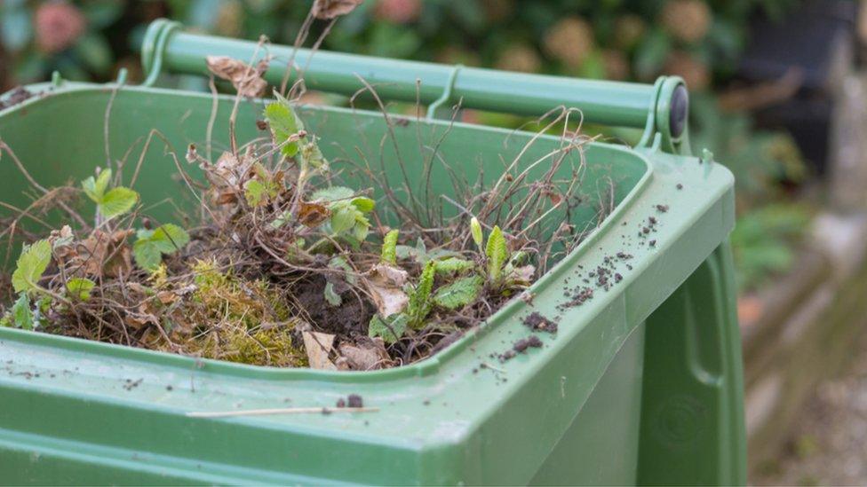 Green bins