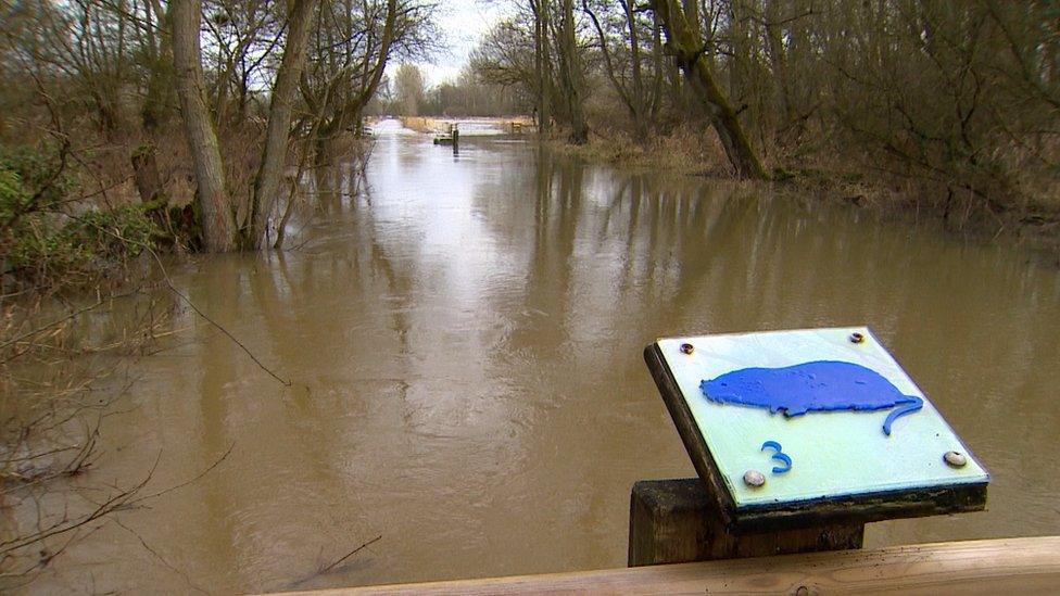 Flooded wetland at Sculthorpe Moor