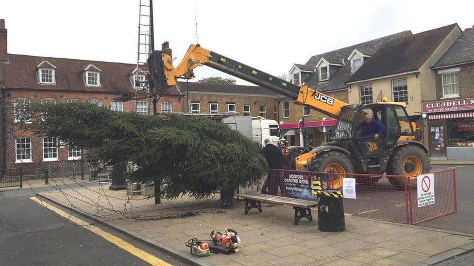 Rochford Christmas tree