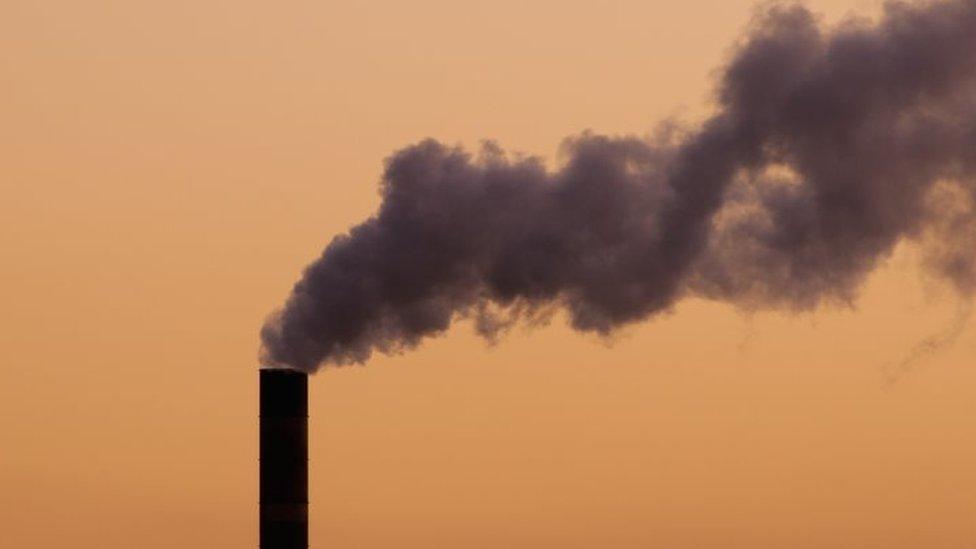 A plume of smoke rising from a coal-fuelled power plant in Florida (03 April 2014)