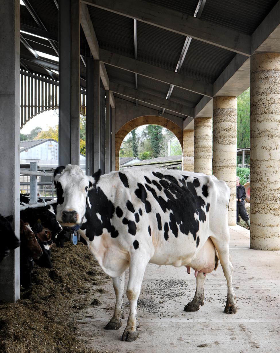 Cowshed in Somerset, UK - by Stephen Taylor, 2012