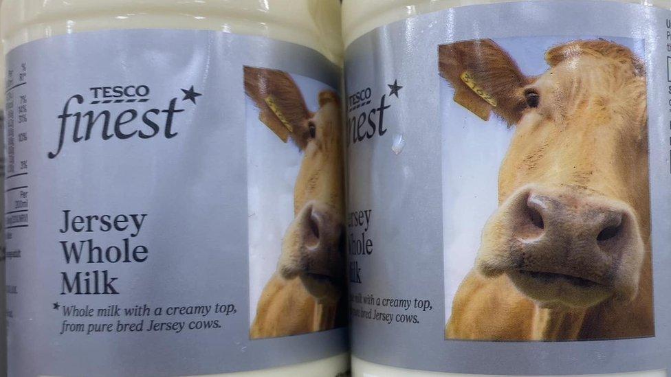 Tesco Finest Jersey whole milk with a Guernsey cow on the label