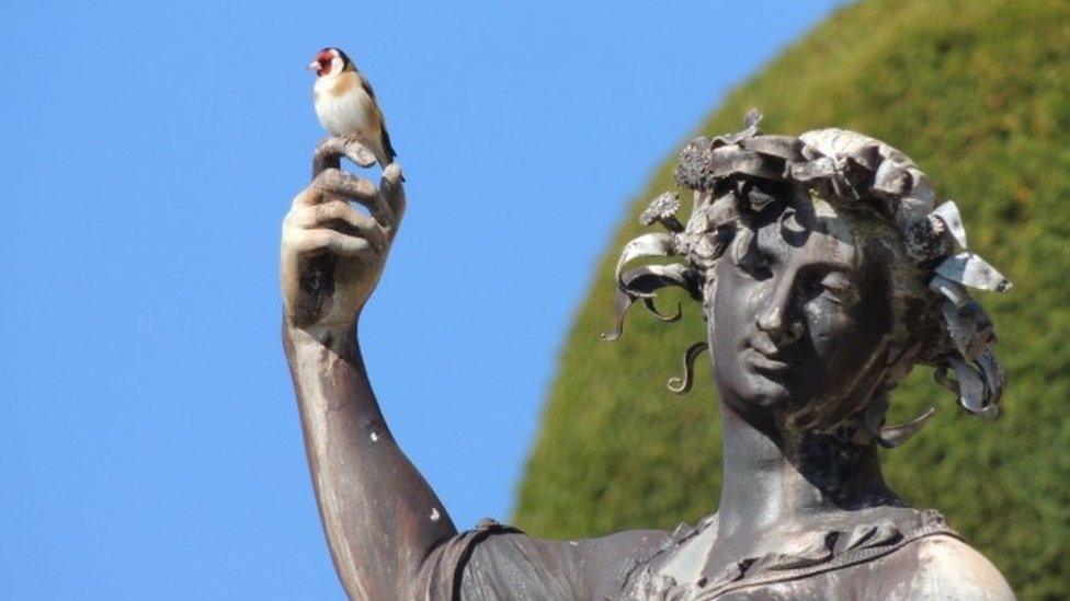 Wildlife making itself a home at the empty Powis Castle