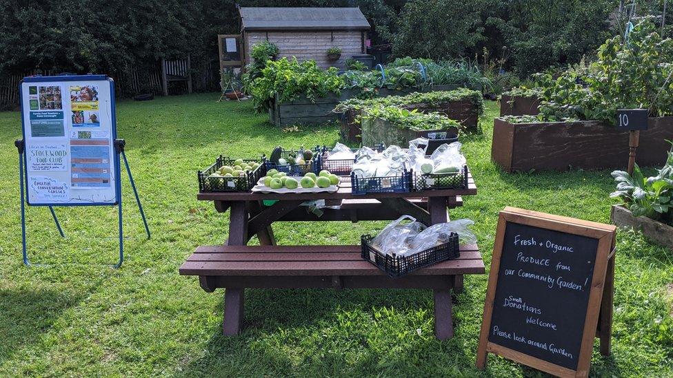 FOOD Clubs, Stockwood plot