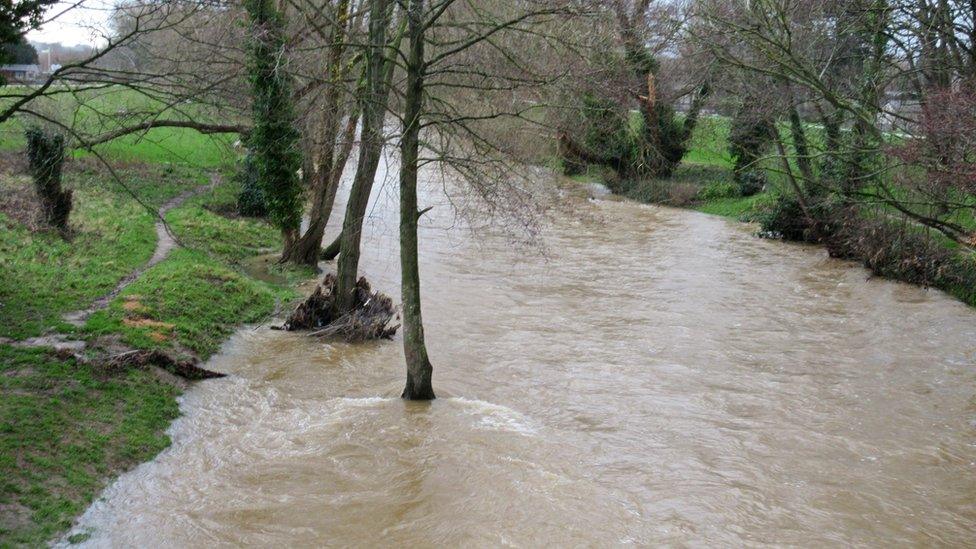 Llanelwy