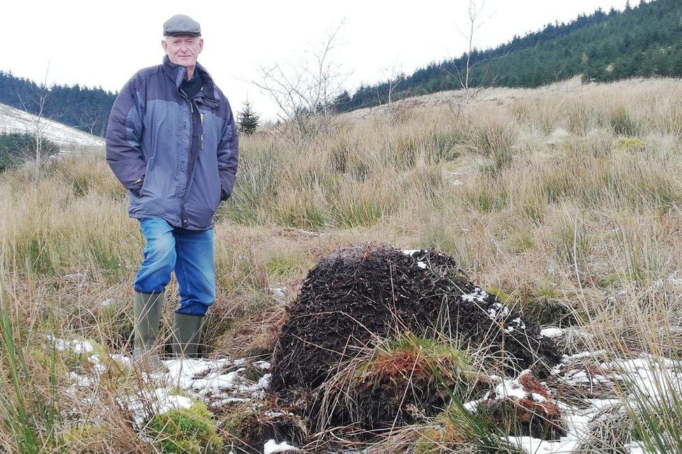 tree-planting