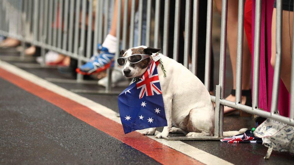 People gather as war veterans make their way down Elizabeth Street during the ANZAC Day parade in Sydney, Australia (25 April 2018)