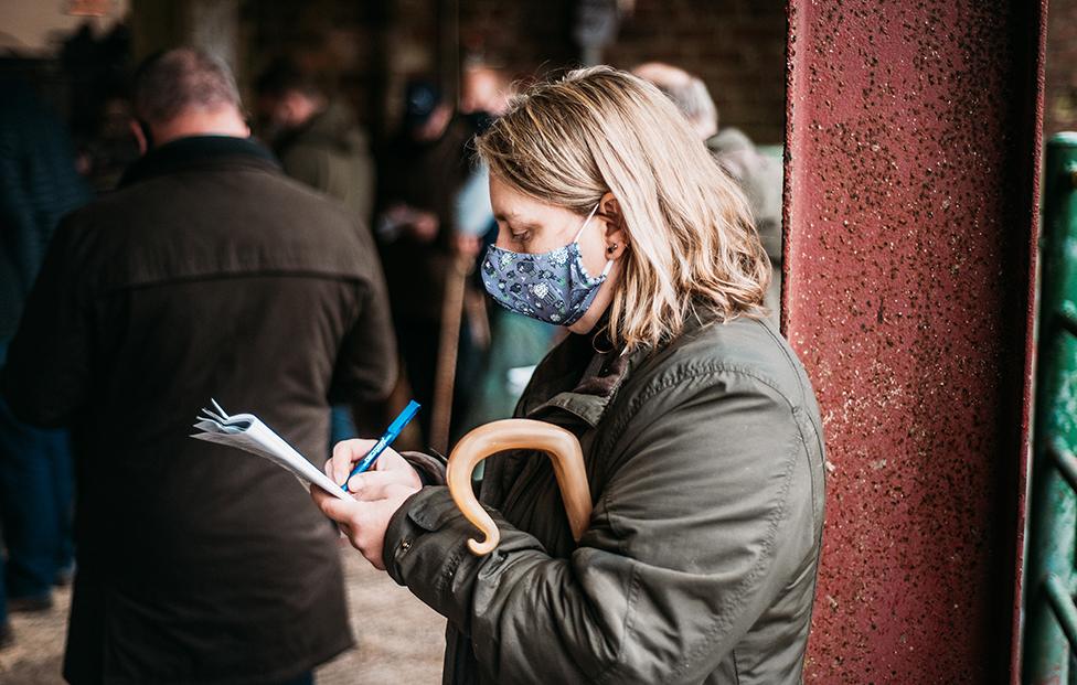 Kirstie at Lockerbie Auction Mart