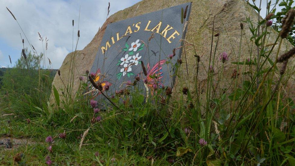 The collision happened near Mila's Lake in Colin Glen Forest Park on Tuesday evening