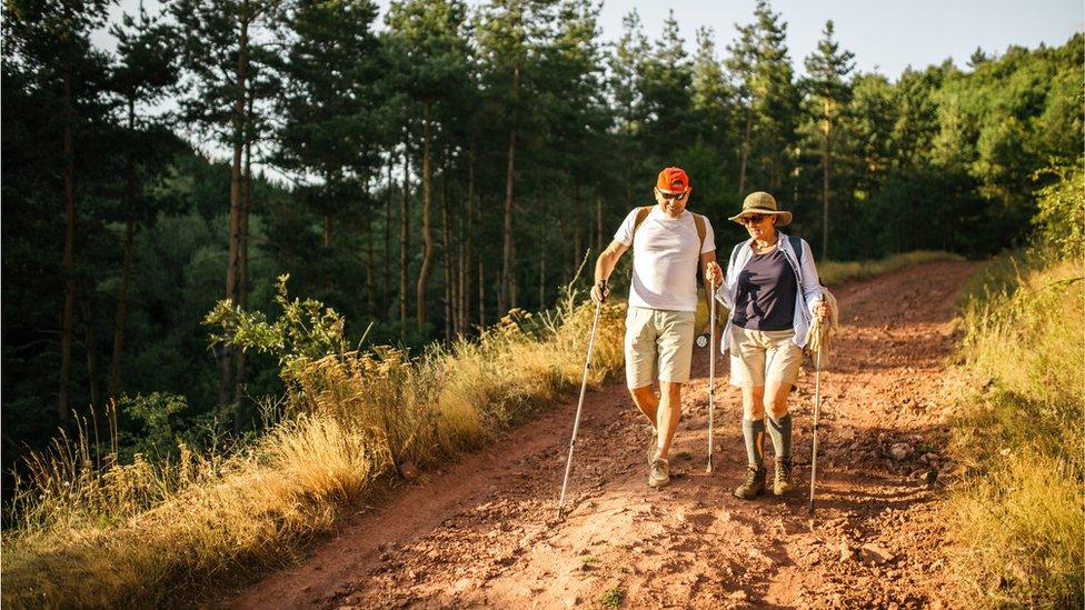 Two older people going for a walking in a forest