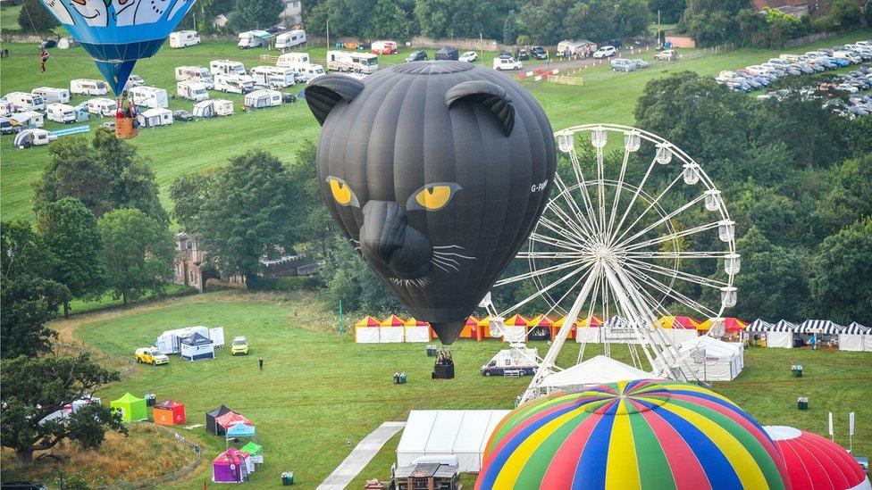 panther-hot-air-balloon.