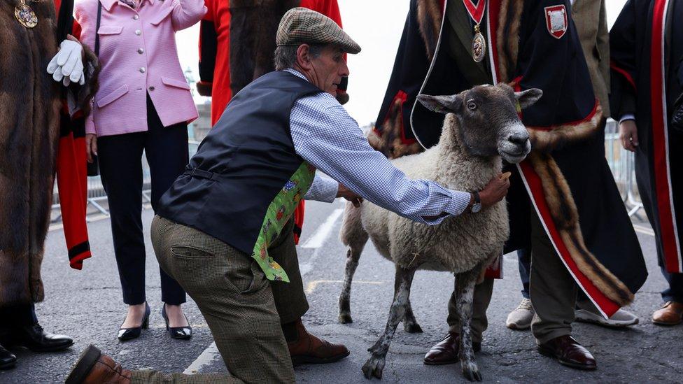 Sheep farmer David Seamark holds a sheep named Chino on the day of the annual London Sheep Drive