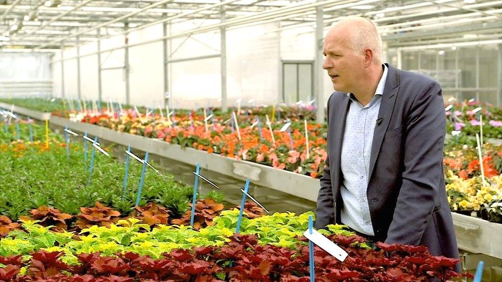 Marck Strik in flower greenhouse