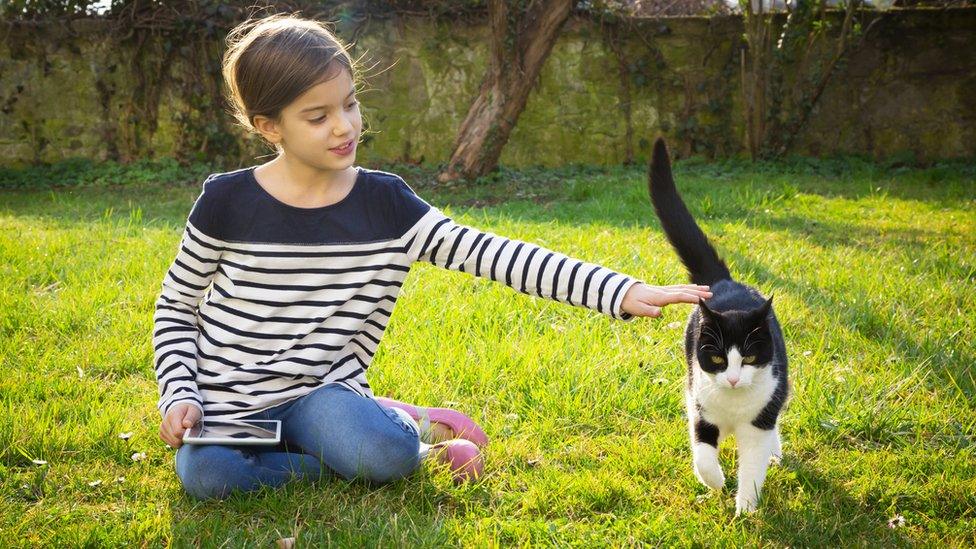 girl with her hand out stroking a cat