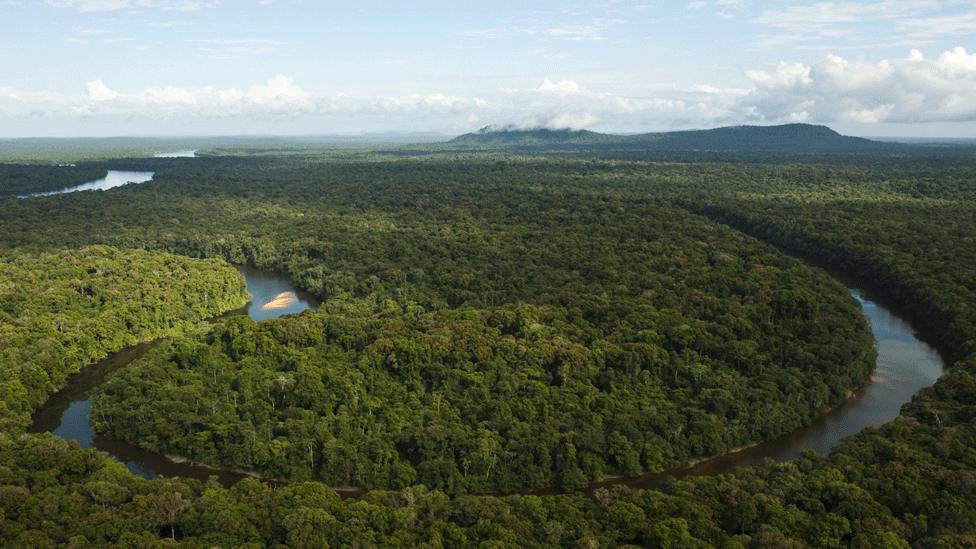 The Essequibo river