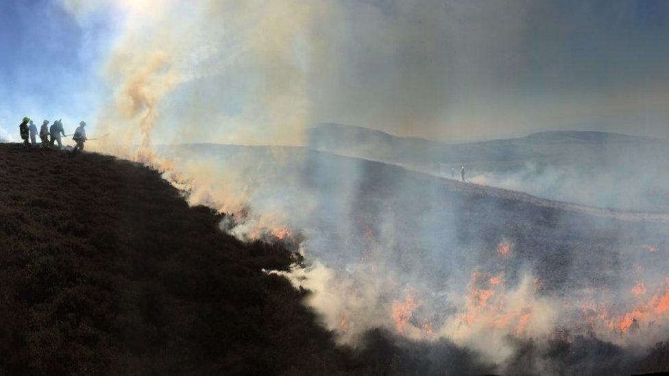 Druidale gorse fire