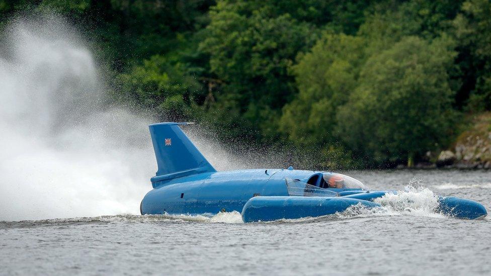 Restored Bluebird