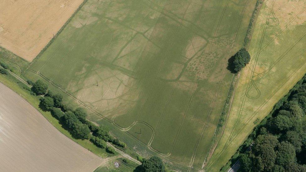 Cropmarks in field near Doncaster