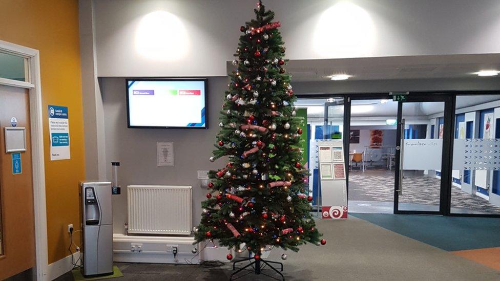 Christmas tree at empty university