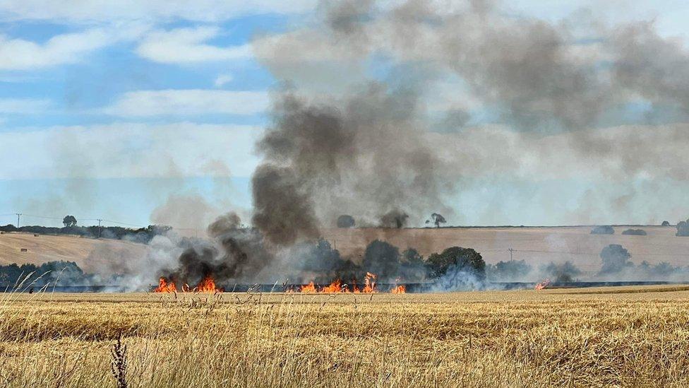 Crop fire