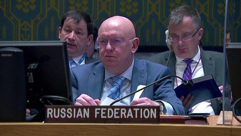 Russia's UN ambassador Vassily Nebenzia