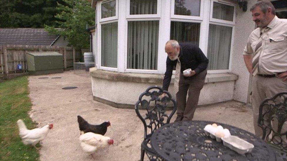 Tommy feeding chickens