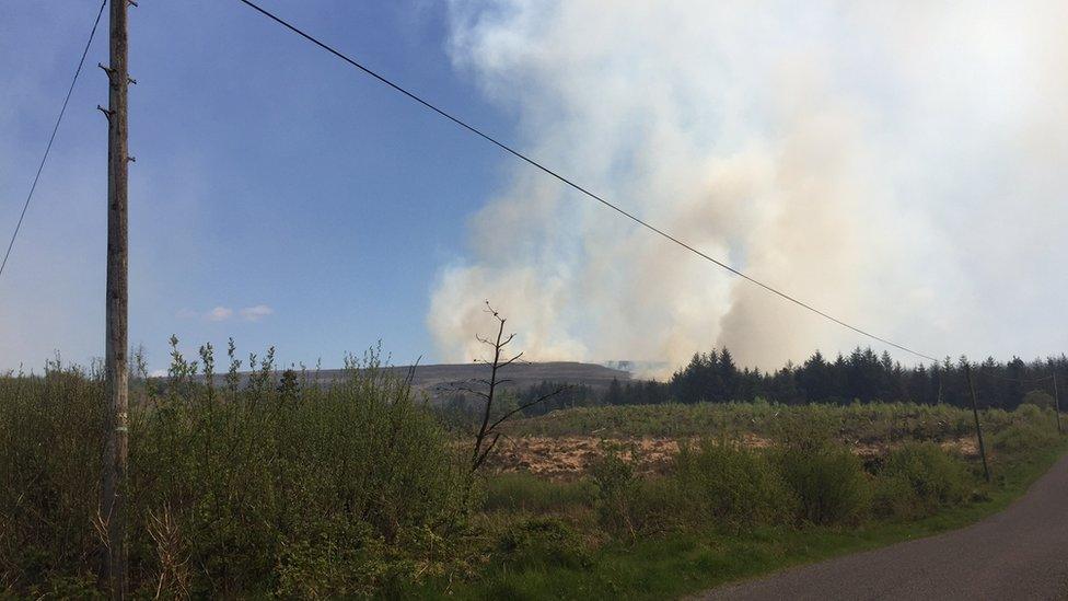 Smoke can be seen rising from the blaze at Mullaghfad forest