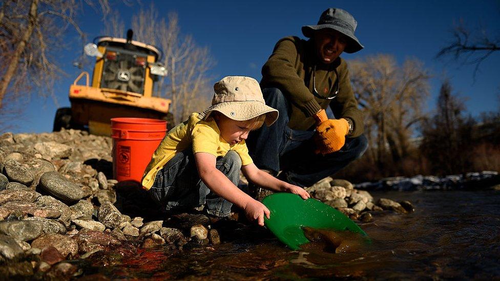 panning for gold along Clear Creek Whitewater Park in Golden. Colorado