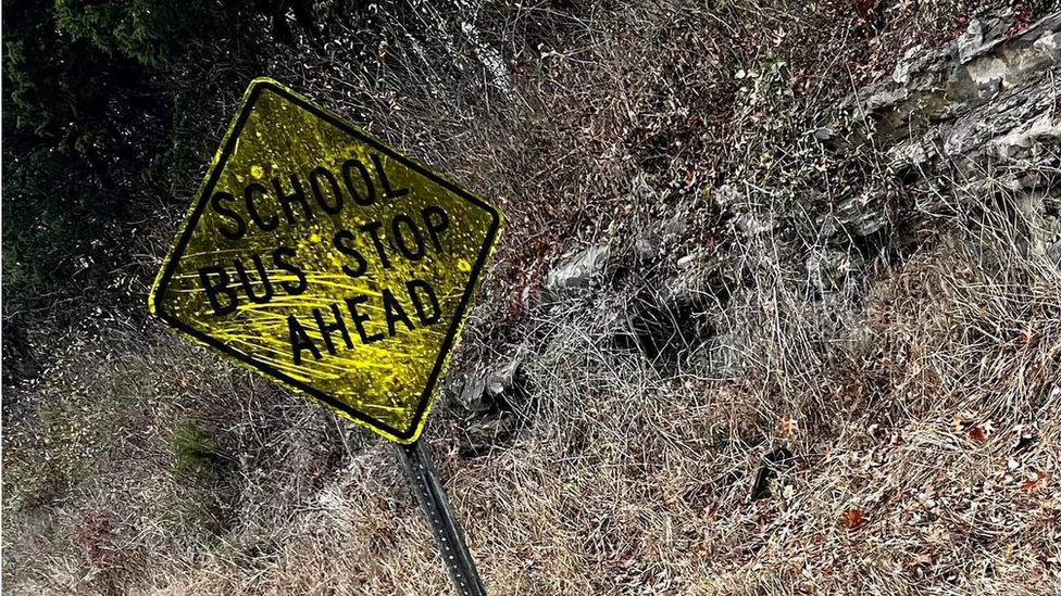 The fungus coats surfaces of signs, buildings and trees near distilleries