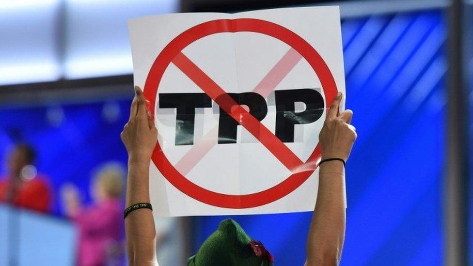 Anti-TPP protester in the US (file image)