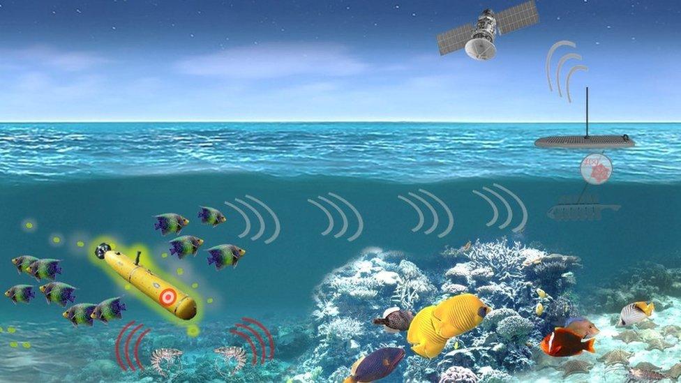 A artist's impression of how the marine sensor system might work