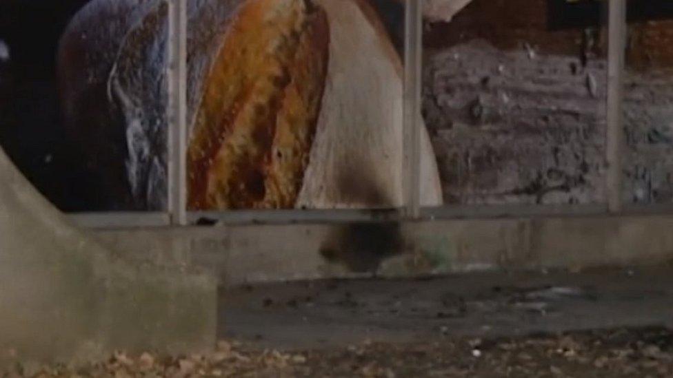 Charred marks are visible in the spot where the homeless man was burnt in Novi Sad, Serbia