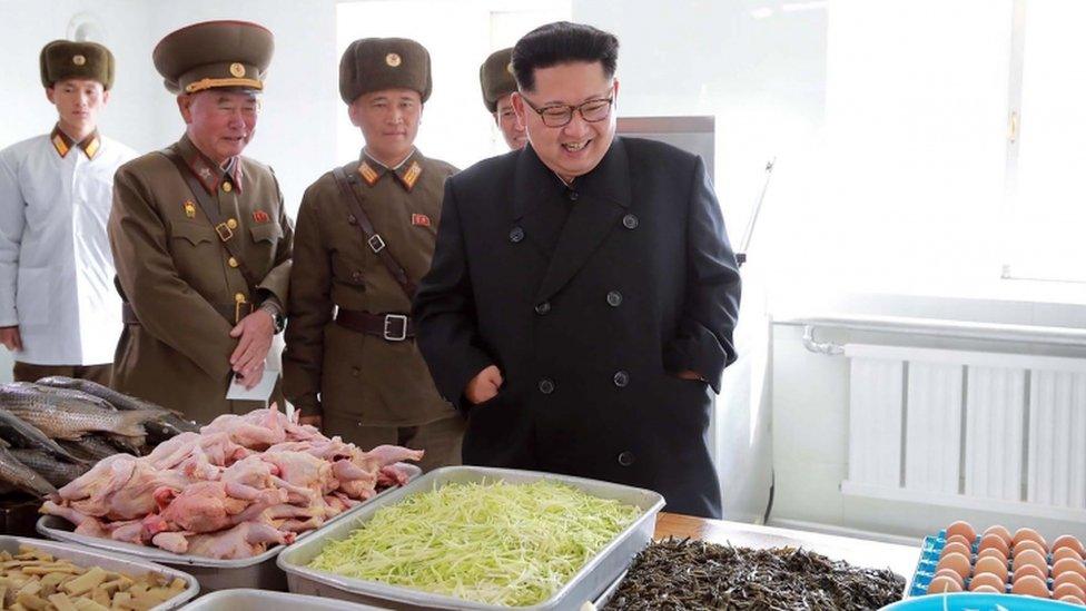 A picture released by North Korea's official Korean Central News Agency (KCNA) on 4 November, 2016 shows Kim Jong-un inspecting a special operation battalion of the Korean People's Army